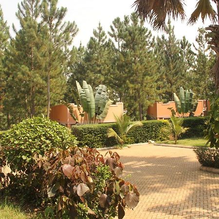 Saltek Forest Cottages Masindi Exterior foto