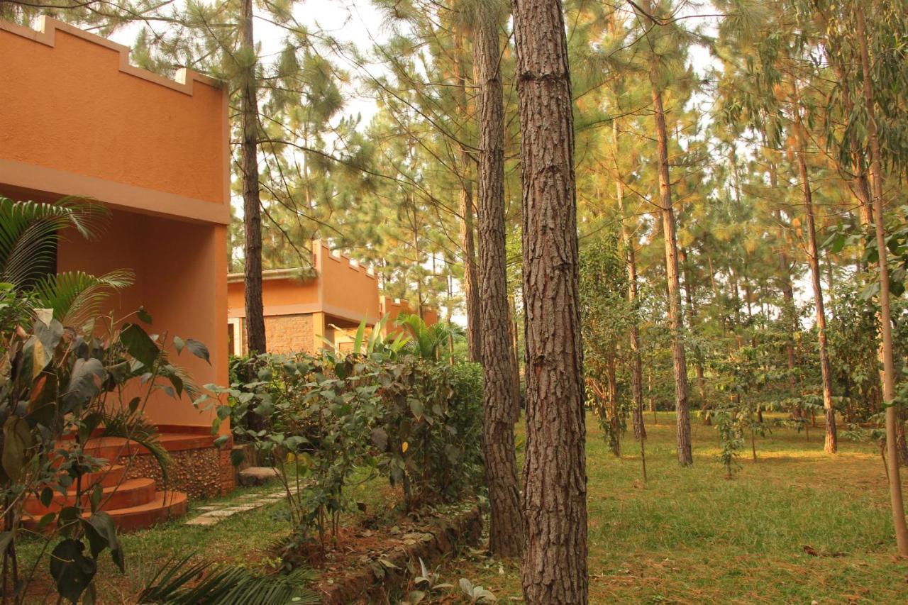 Saltek Forest Cottages Masindi Exterior foto